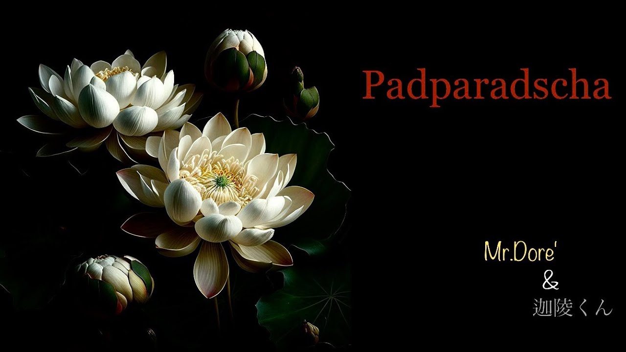 Padparadscha / Mr.Dore´& 迦陵Б