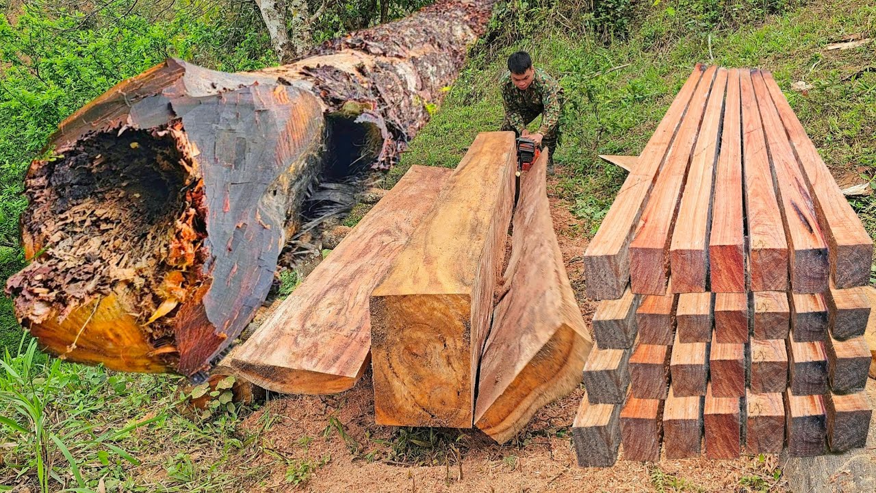 50 Days Man Saws Large Abandoned Trees into Beautiful, Straight, Valuable House Columns