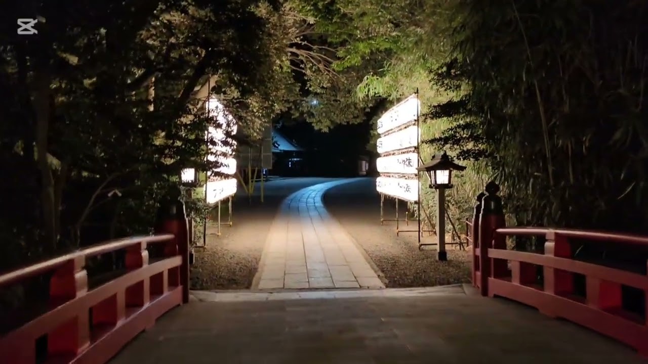 夜の武蔵一宮氷川神社（さいたま市大宮区）にて　青い光の玉オーブ？が出現しました。