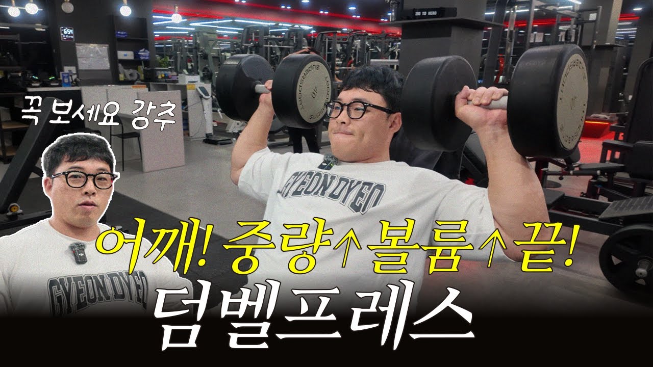 초보~상급 어깨 덤벨프레스｜중량·볼륨 다 챙기는 어깨 첫 번째 세트 구성
