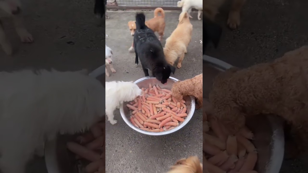 So much food. Thanks to the support and assistance of all the kind-hearted brothers and sisters.💕💕