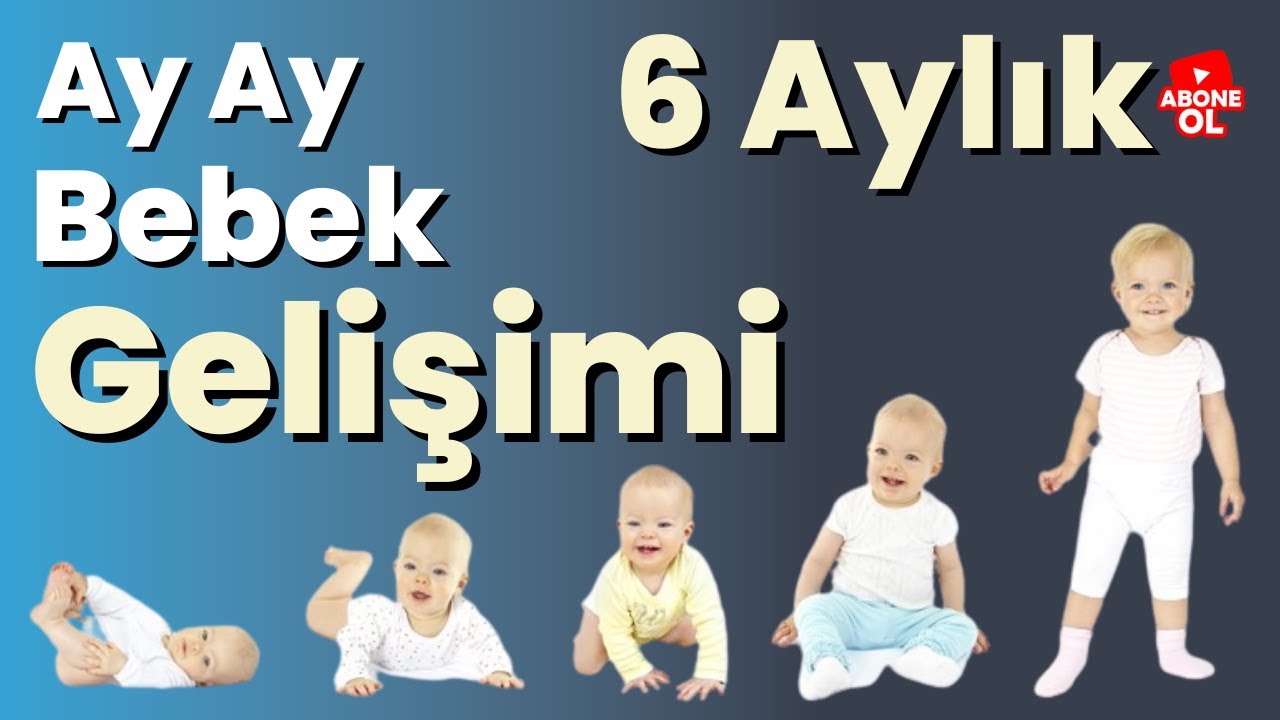 6 Aylık Bebek Gelişimi – Ay Ay Bebek Gelişimi