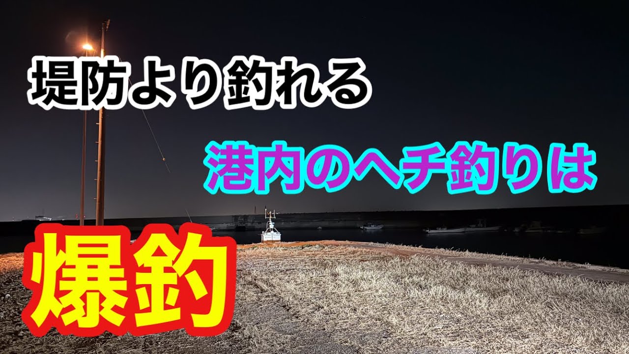 堤防より釣れる港内のヘチ釣りなら爆釣 知多半島 知多湾