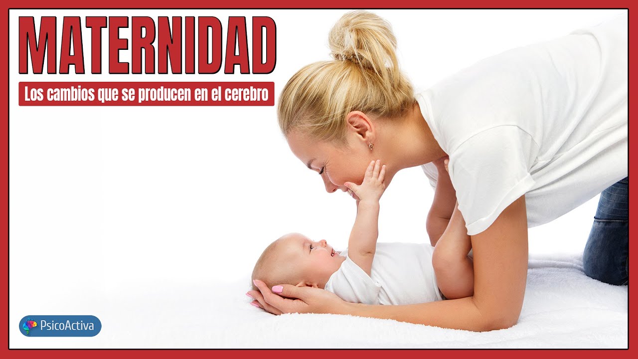 Los ASOMBROSOS CAMBIOS CEREBRALES Durante la Maternidad 🧠✨