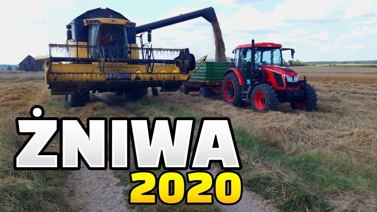 🔥Żniwa 2020 New Holland CX5080 & ZETOR Proxima 90 cl🔥 Nowa jakość.