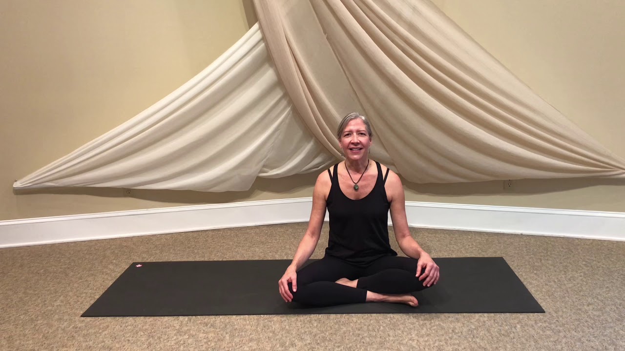 Bird Dog Plank Tutorial