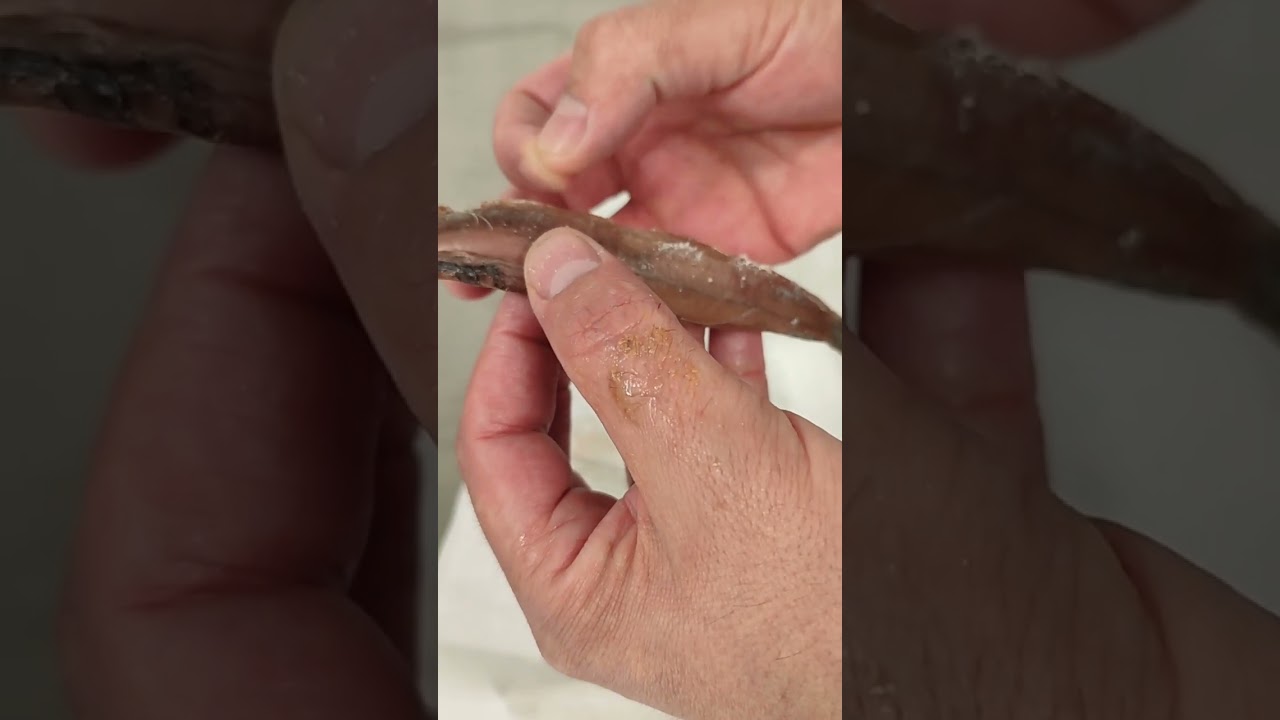 Cómo hacer anchoas. Parte 2.