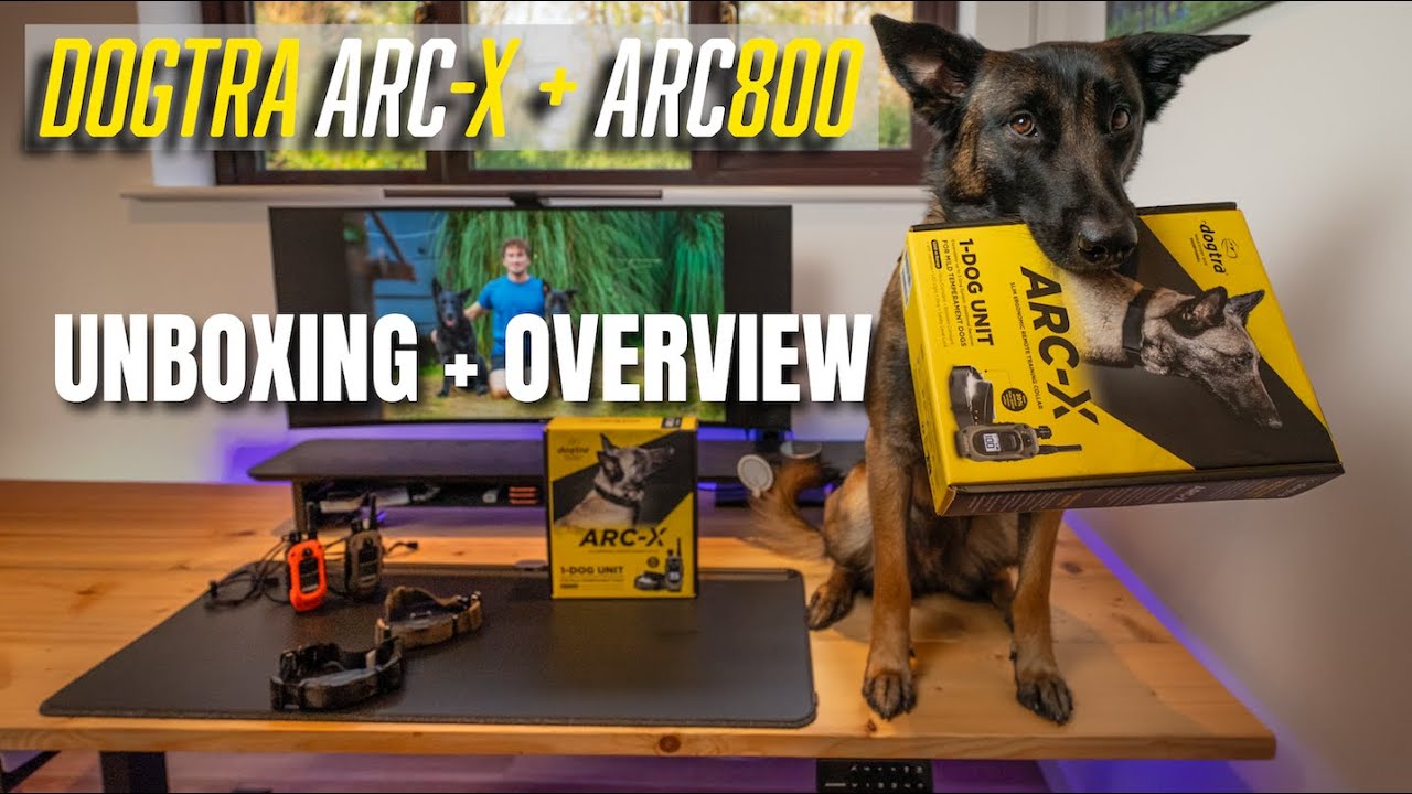 Dogtra ARC-X e-Collar - Custom Set-up #dogtraining #ecollar #dogcoach