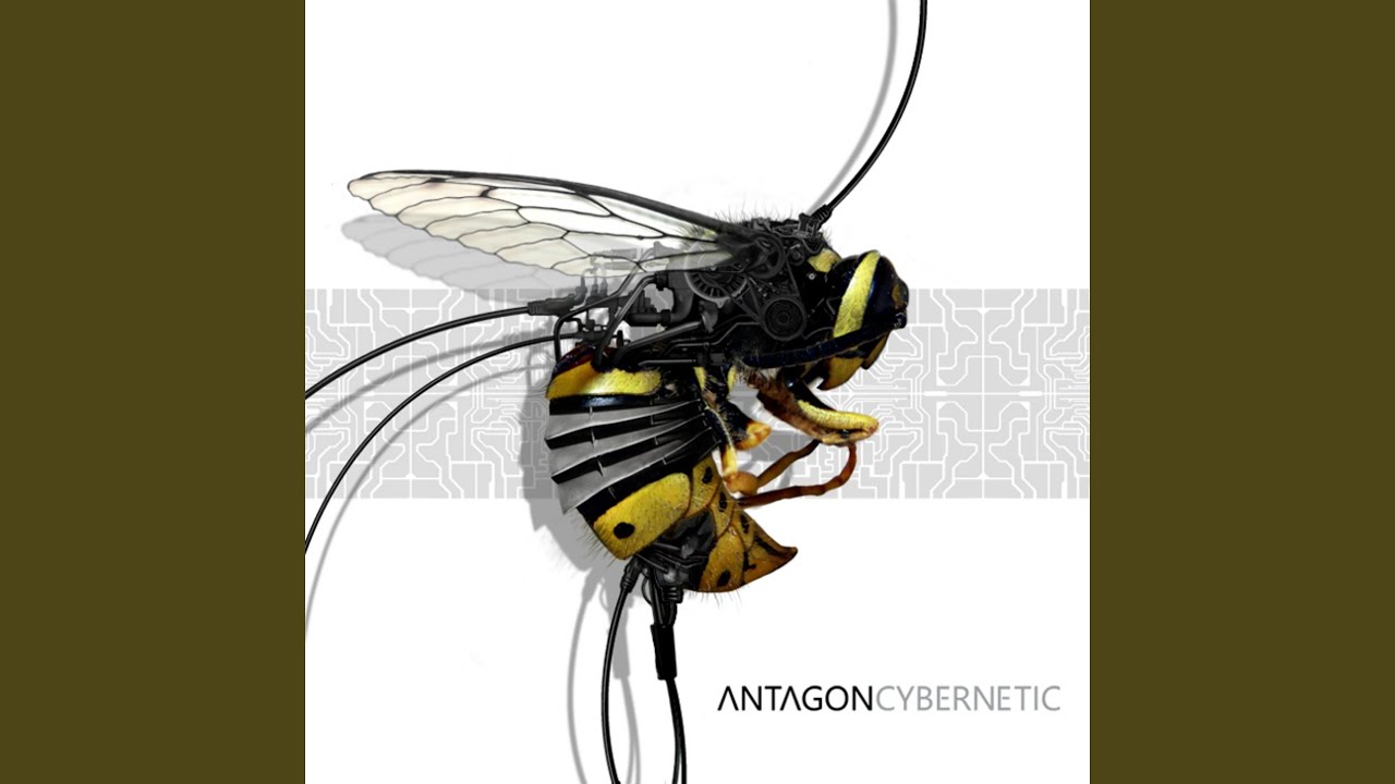Cybernetic