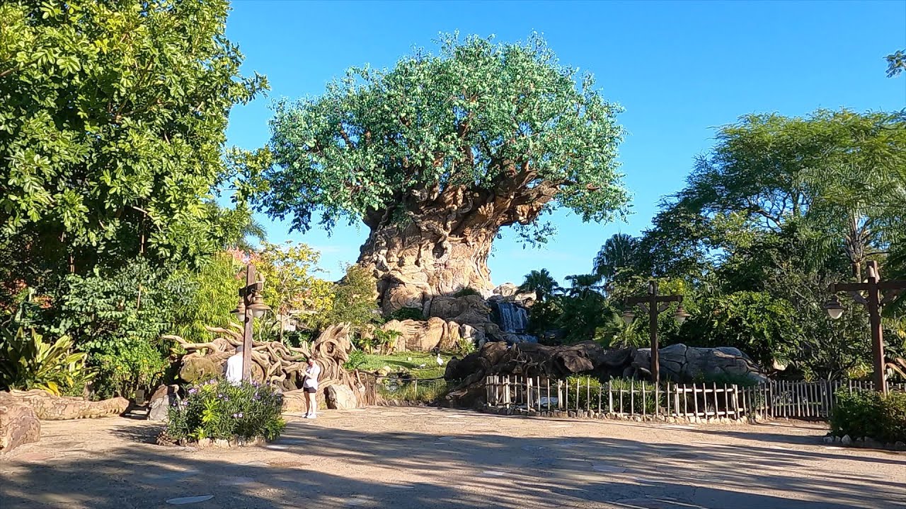 Disney's Animal Kingdom 2020 Complete Walkthrough 4K Tour | Walt Disney World Resort Orlando Florida