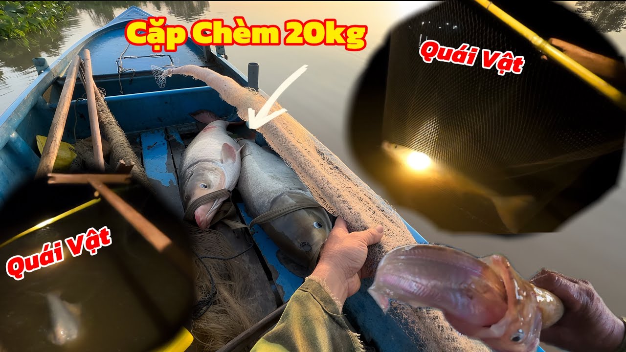 Xuống Cây Vợt Mới Đêm Đầu Tiên Dính Cặp Cá Khủng Gần 20 Ký / Định Nguyễn Hậu Giang