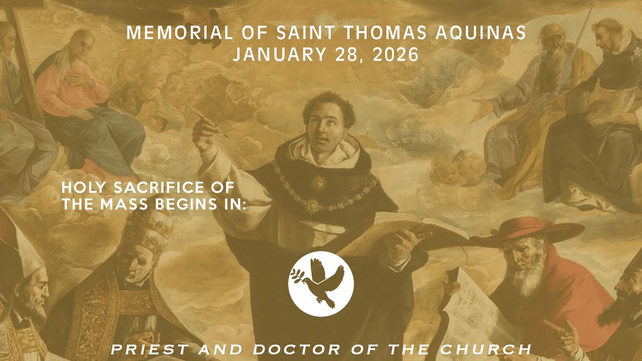Memorial of Saint Thomas Aquinas