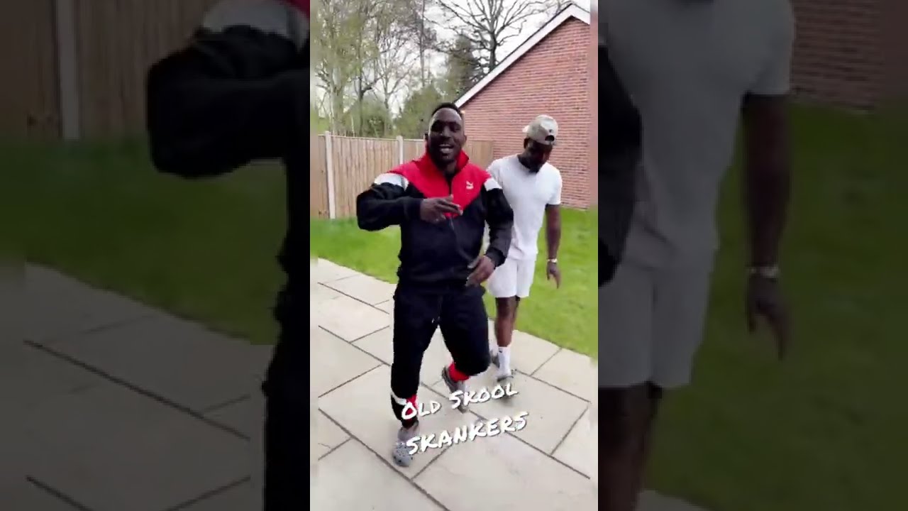 Stevo The Madman - Old Skool Skanker