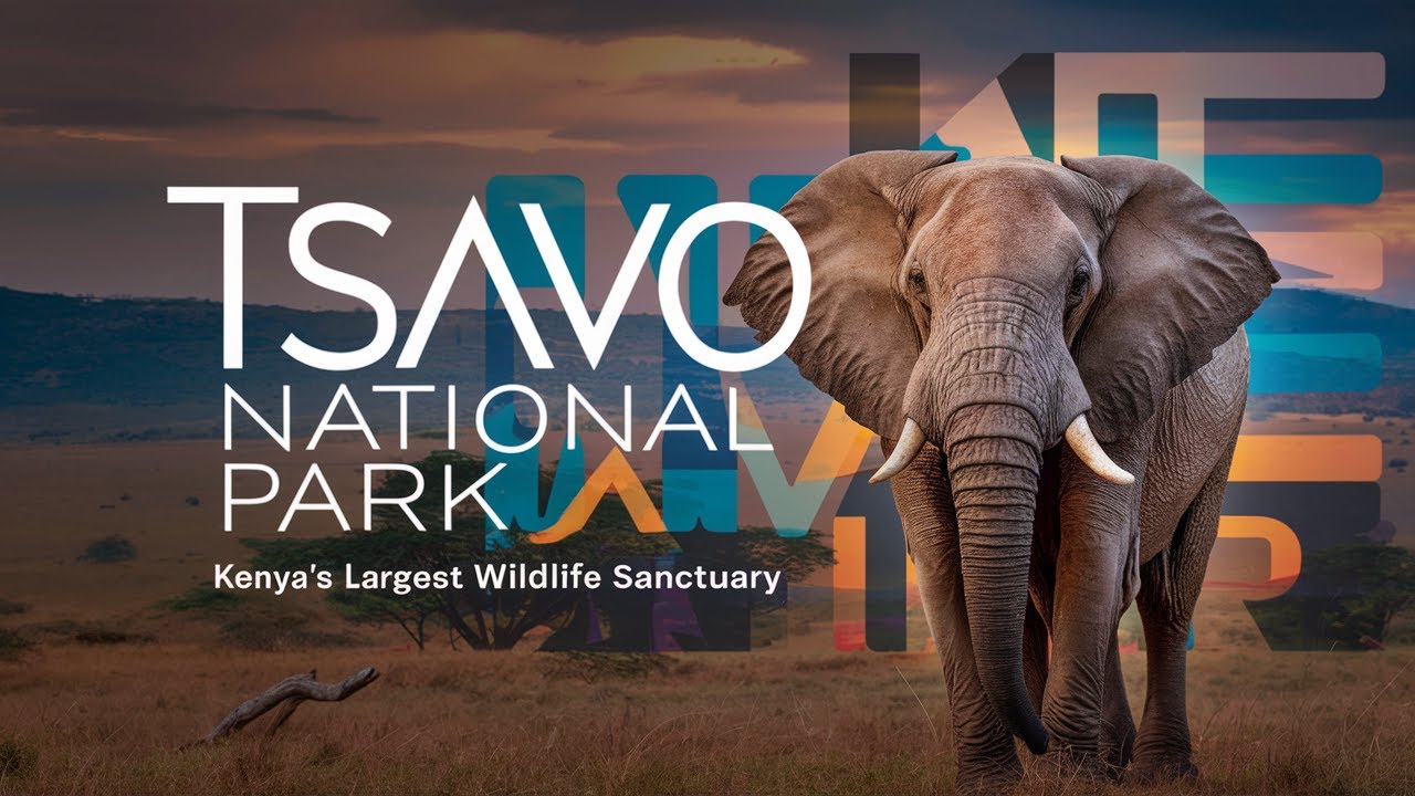 Tsavo National Park Kenya&rsquo;s Largest Wildlife Sanctuary