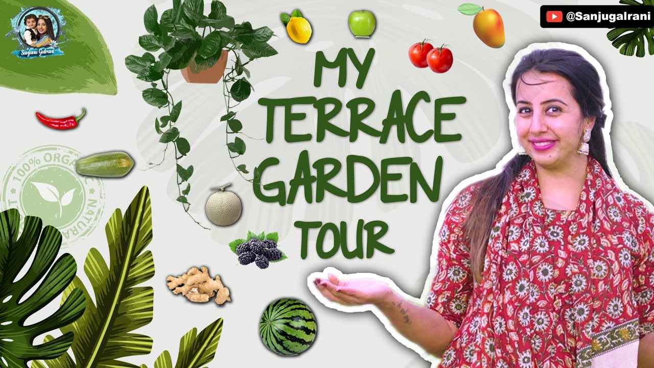My Terrace Garden Tour 😍 || Organic Garden 🌿 || Sanjana Galrani Official
