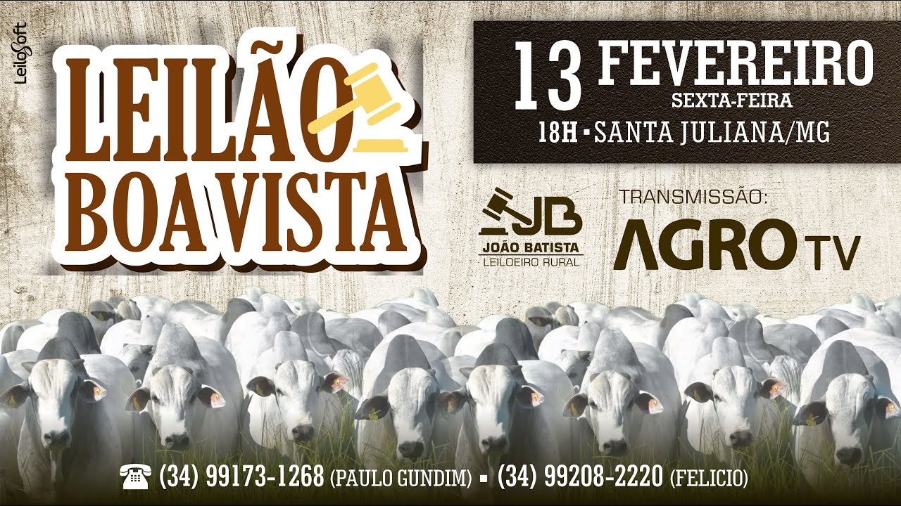 LEILÕES BOA VISTA - 13/02/2026