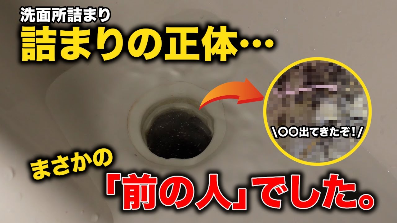 まだ築７年！洗面詰まりの原因はまさかの前の住人！？これはさすがに色々詰まりすぎかも？【花のお掃除 