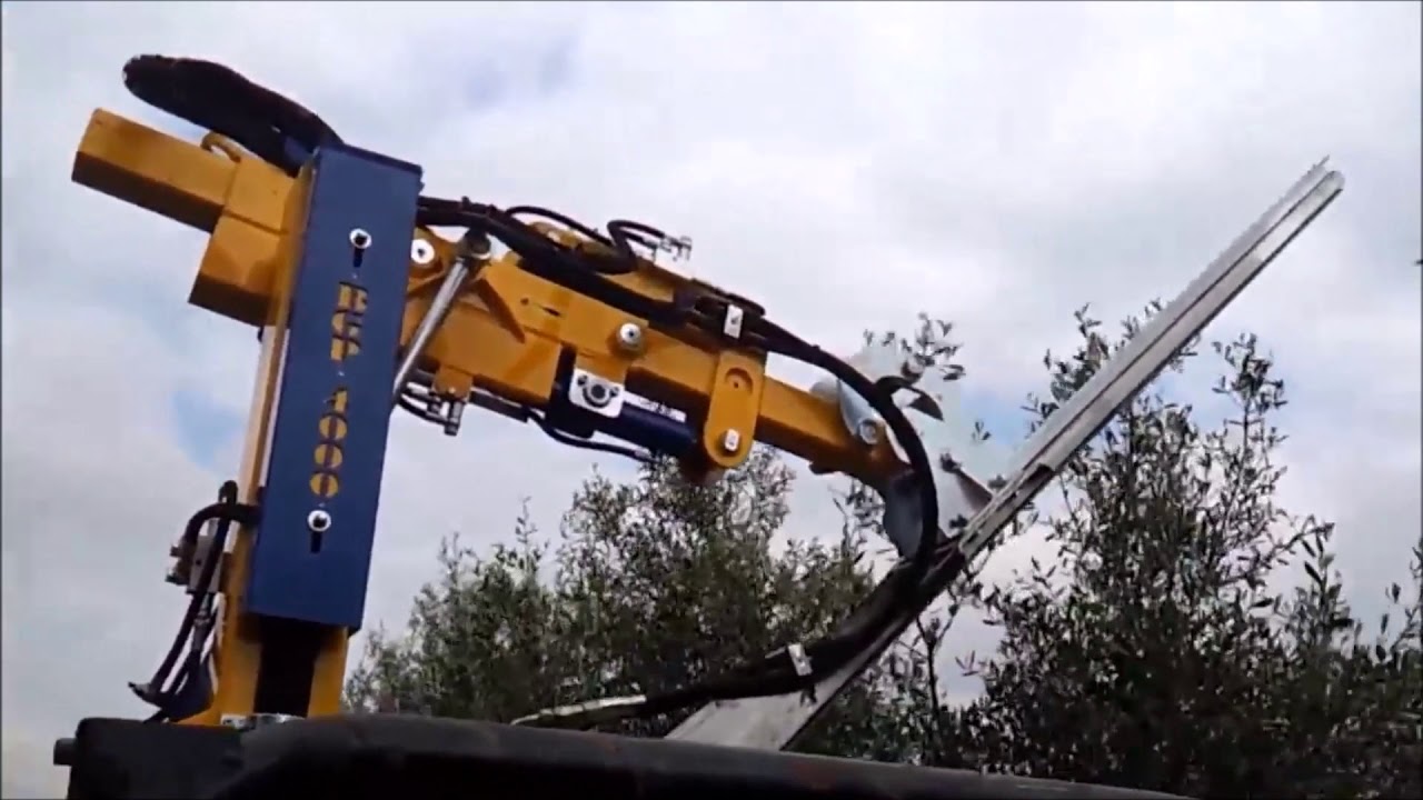 Pruning Machines Olive Trees   Potatrice Olivi