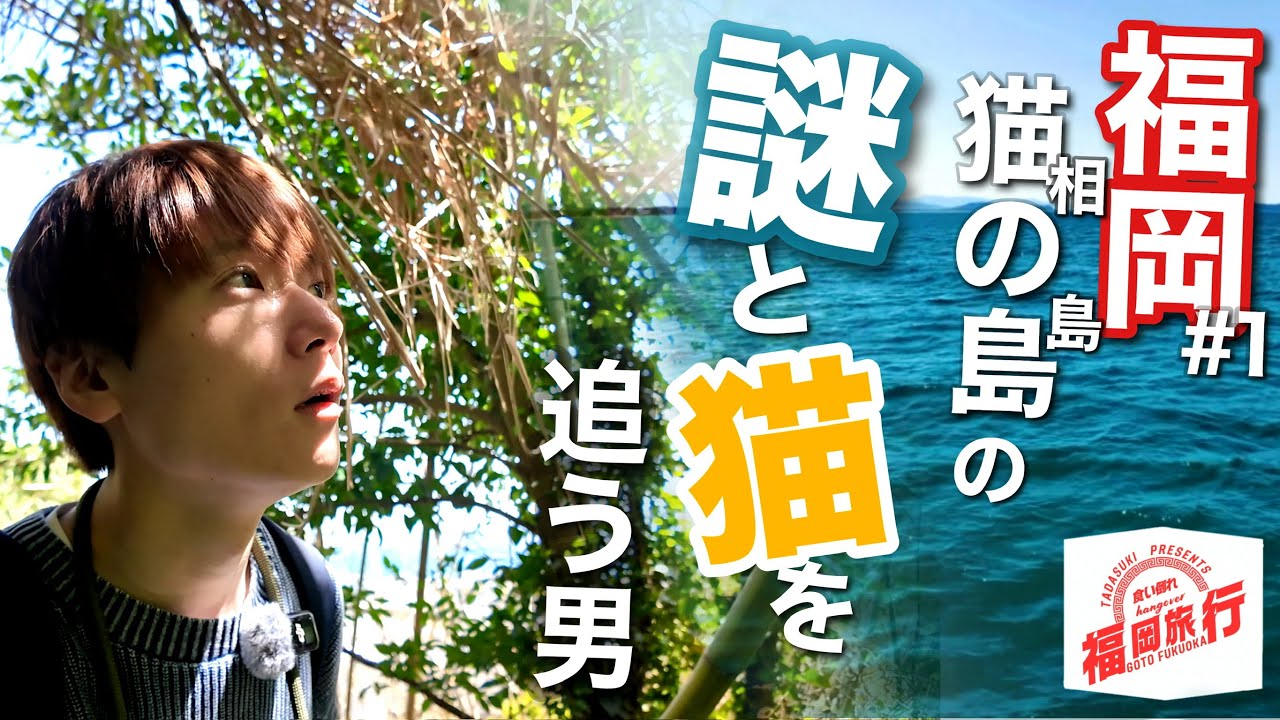 ⑴ #福岡 -相島- 猫の島でミステリーハンターする男の動画 #vlog #旅行 #ねこ 