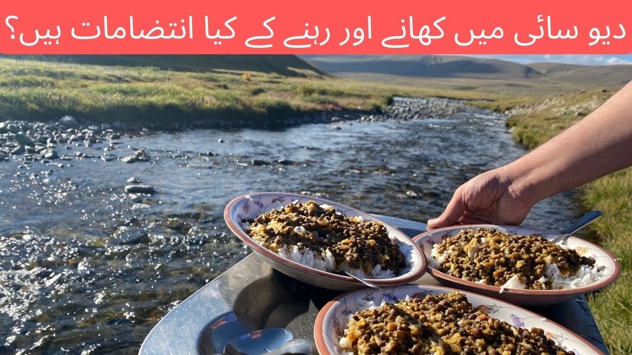What are arrangements for Food and Night Stay in Deosai | Skardu