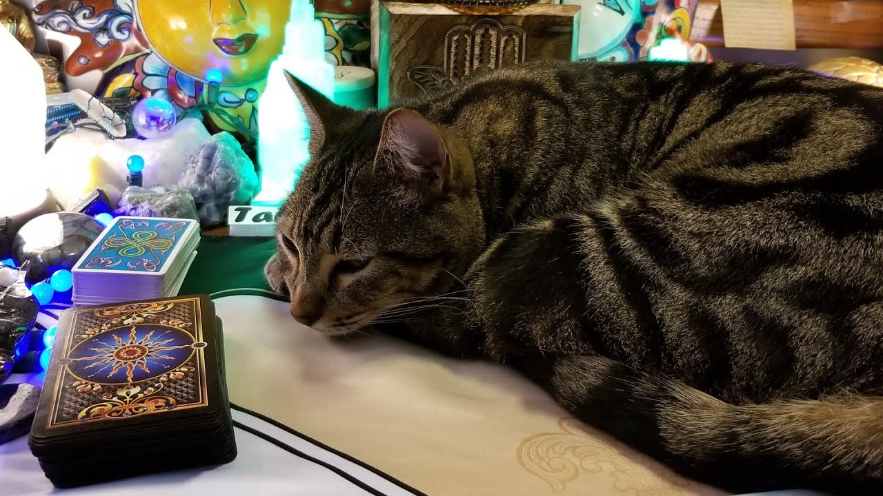 Leo March 16th-31st 2019