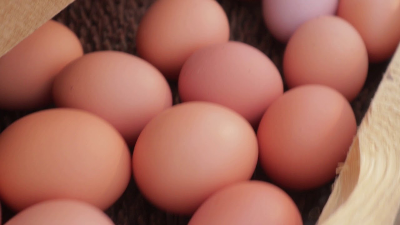 Sundhult Gr&ouml;nbetes&auml;gg p&aring; REKO-ring
