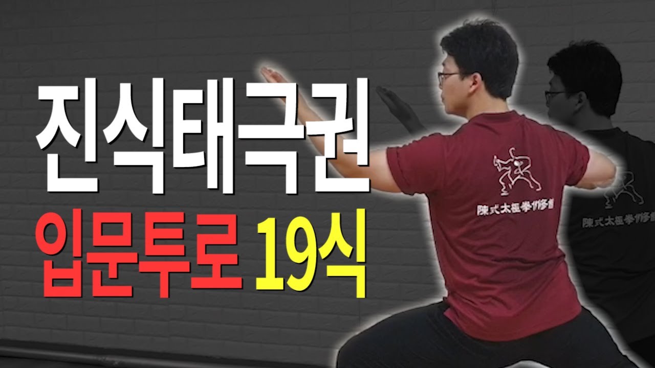 중국무술 진식태극권(陈式太极拳) 입문투로 19식(전면, 후면) - Chen Style Taijiquan