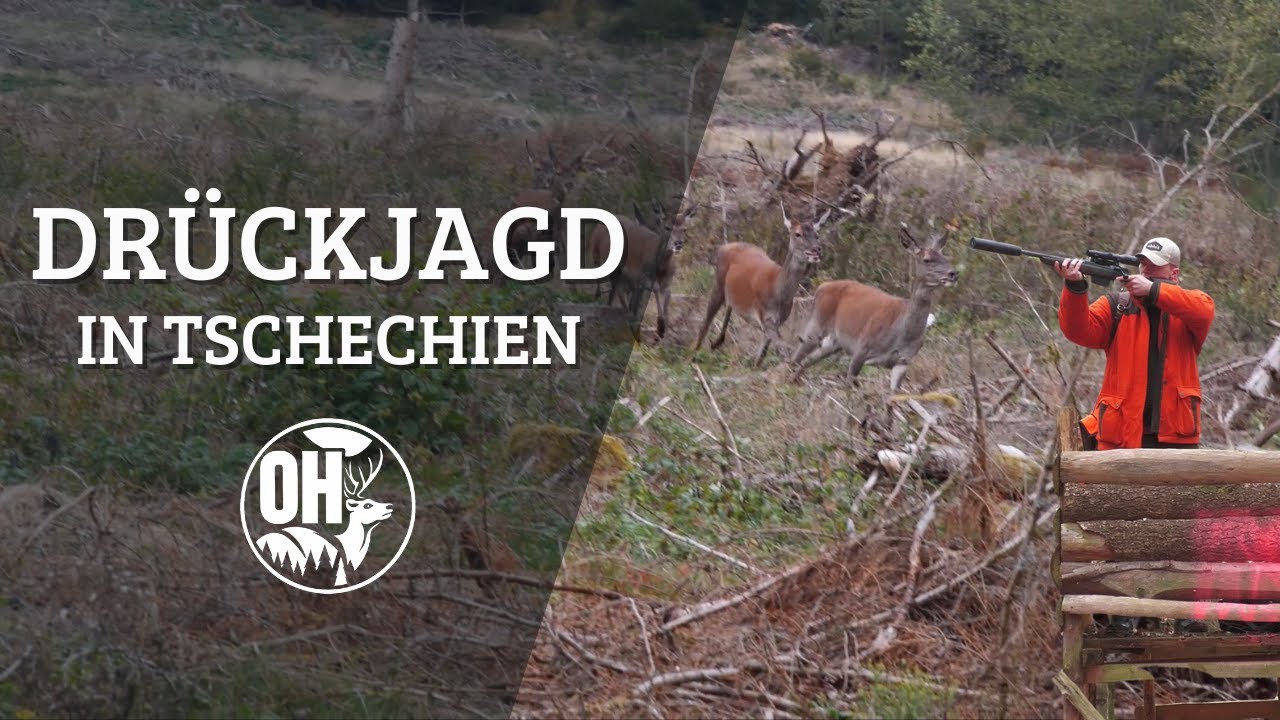 DRÜCKJAGD in Tschechien | 2 Tage Spannung PUR !