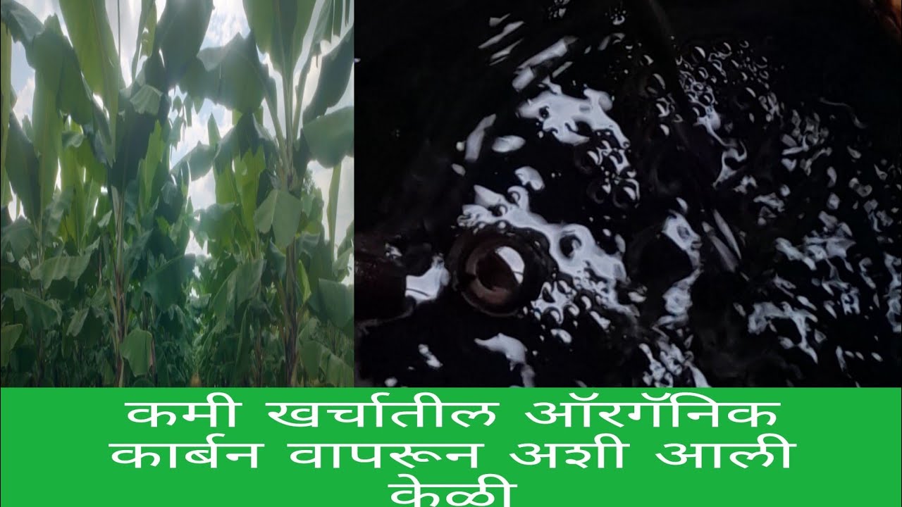 विज्ञान संत अंकुश पाटील यांचे तंत्रज्ञान वापरून कमी खर्चात ऑरगॅनिक कार्बन बनवण्याचे प्रात्यक्षिक