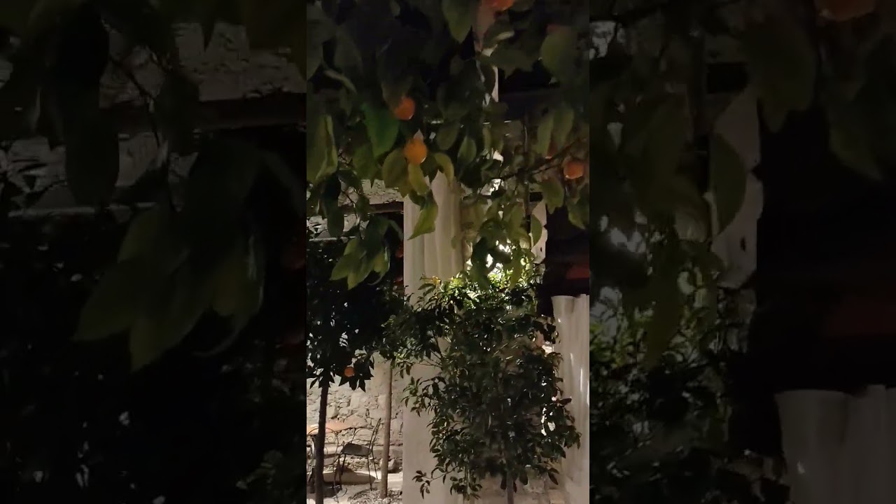 Limone sul Garda, Ristorante L'Agrumeto