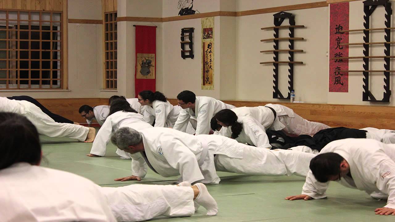 savunma sporu Aikido