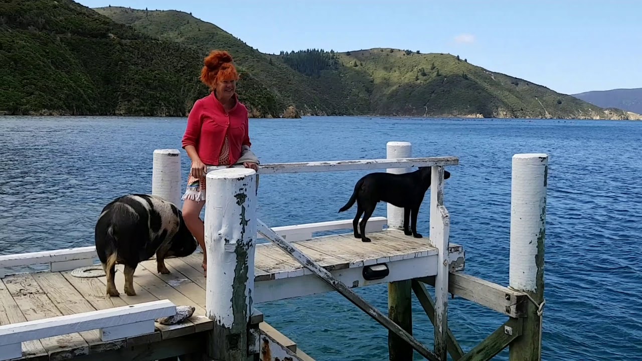 Mailboat Trip Marlborough Sounds