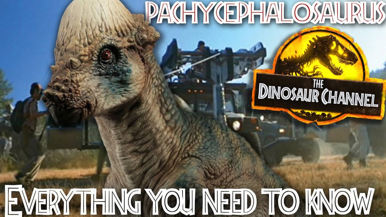 What was the Pachycephalosaurus?  - The Dinosaur Channel