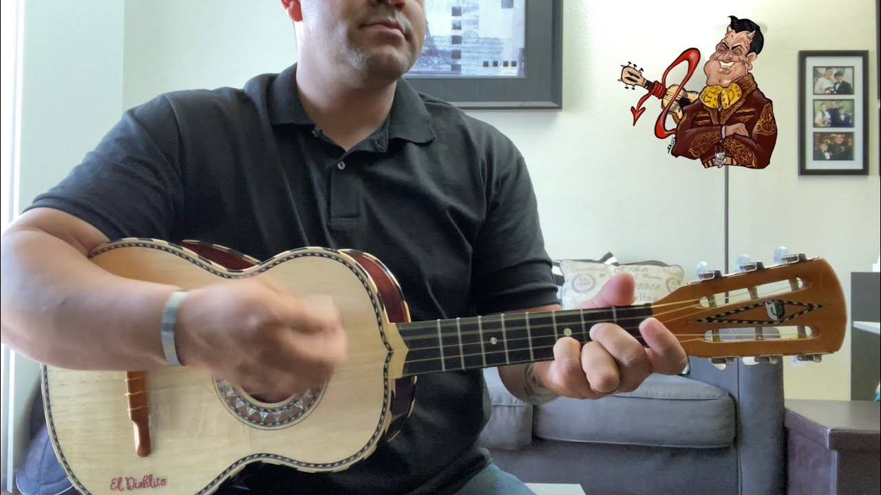 Tómate Una Copa (vihuela cover) Javier Solís