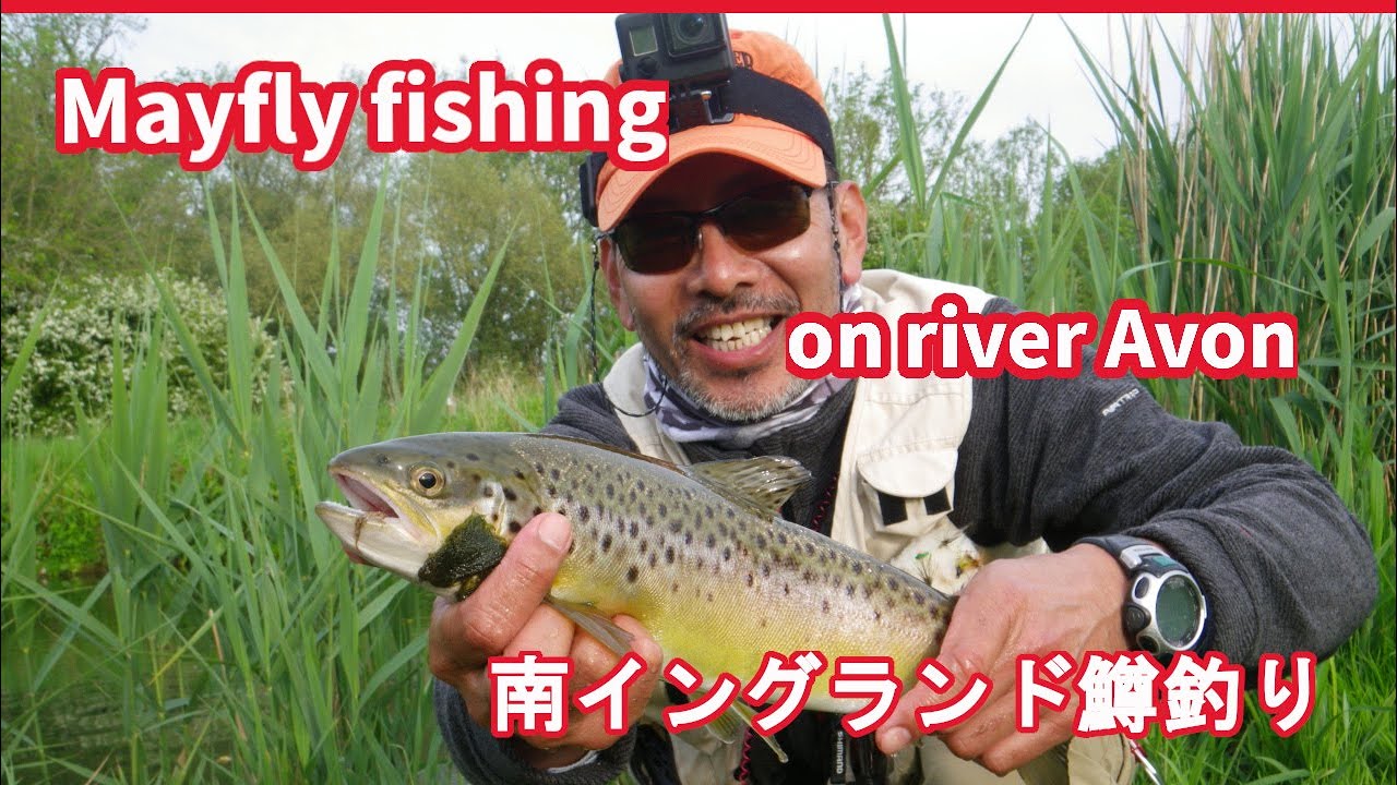 【 Fish UK】Fishing on River Avon on Salisbury and District Angling Club`s Durrington beat.