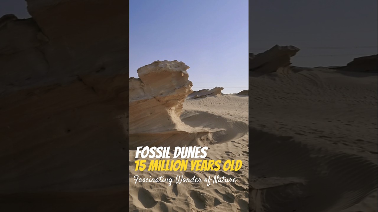 Fascinating wonder of nature | Fossil Dunes | Abu Dhabi #shorts