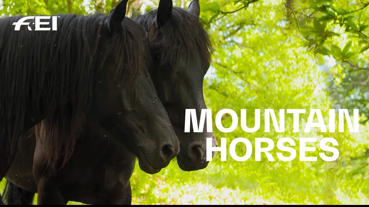 Transhumance in the Pyrenees mountains | RIDE presented by Longines