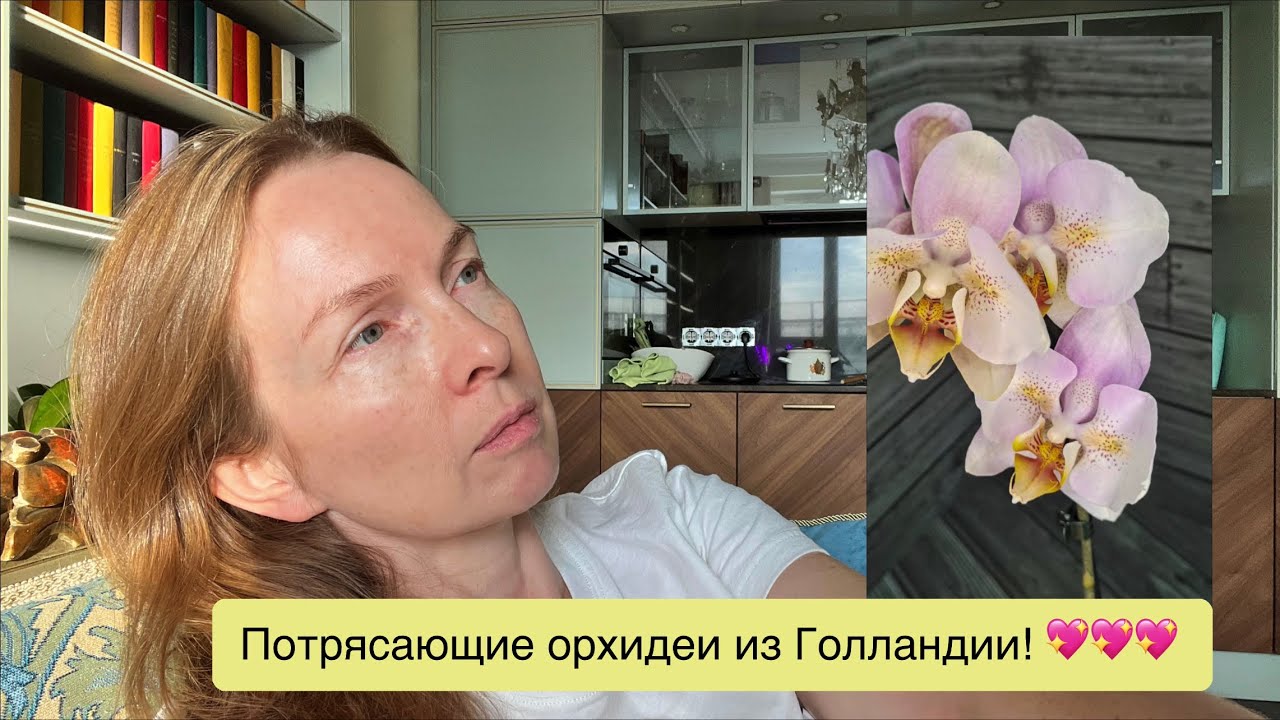 @zeboorhids  привезла цветущих голландцев, а я навестила её и сняла видео!