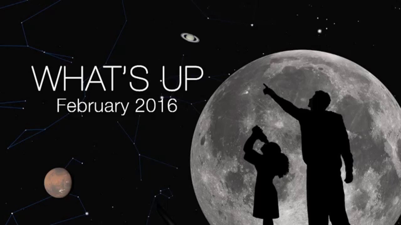 What's Up for February 2016