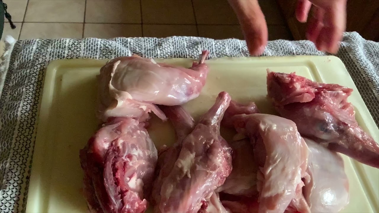 Grandma’s rabbit pie. Tarte au lapin