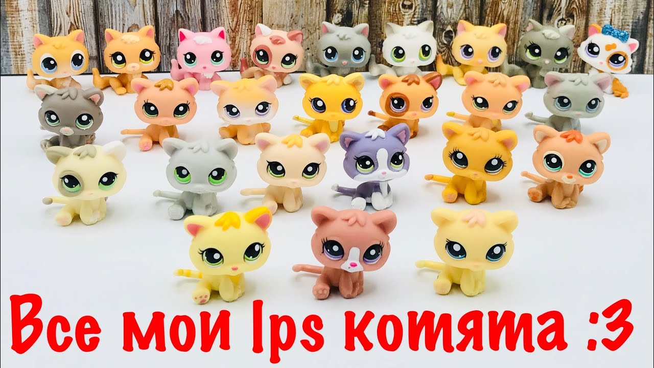 LPS: ВСЕ МОИ L•P•S КОТЯТА :3 (25 штук)
