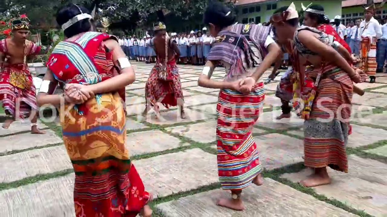 TARIAN TRADISIONAL DAERAH TIMOR "TELSAIN"