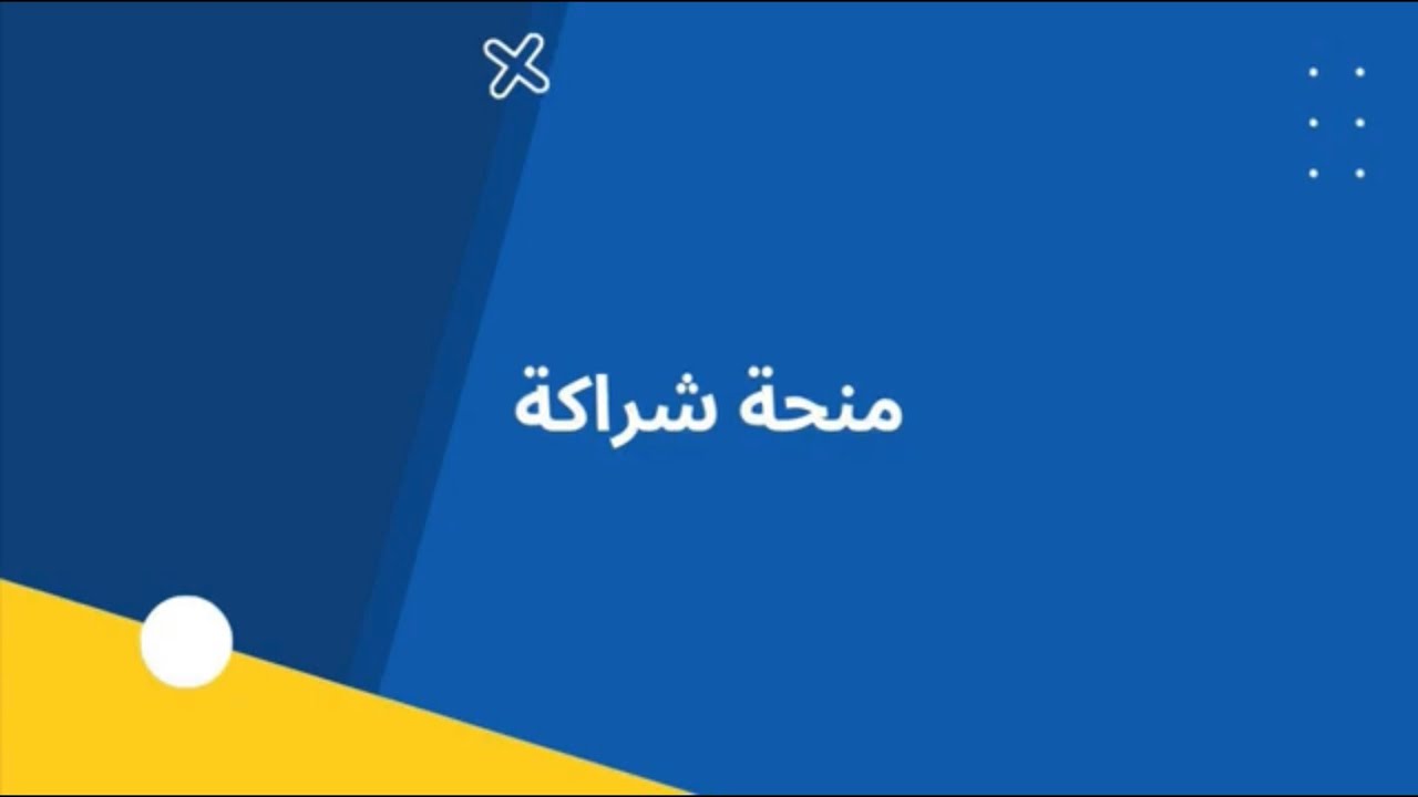 منحة شيراكا في هولندا (دورات تدريبيه للموظفين باللغه العربيه)