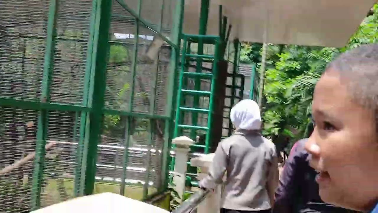 Banyak unggas  yg cakep n cantik  kebun binatang ragunan 