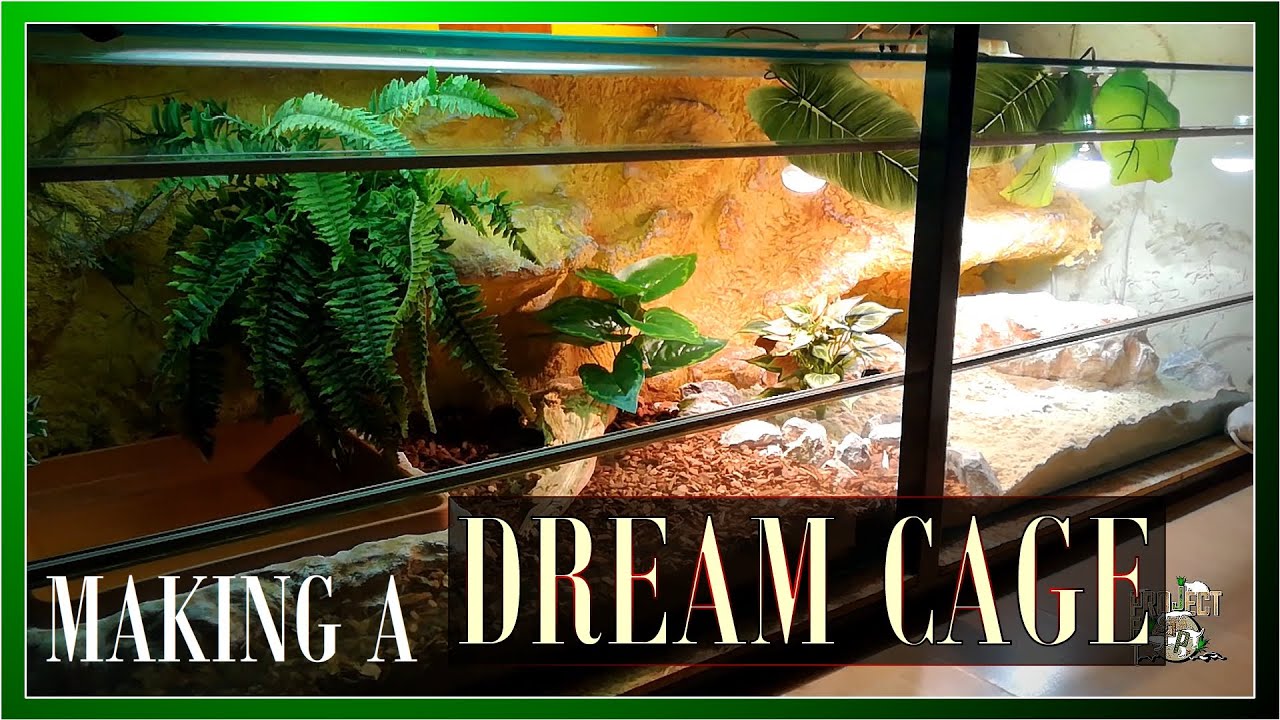 BREATHTAKING transformation of a REPTILE ENCLOSURE｜DIY Argus Monitor Cage