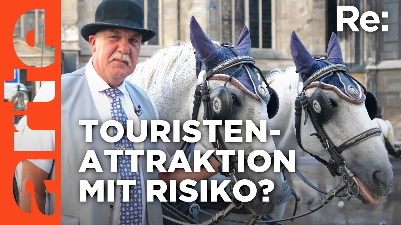 Wiens Fiaker im Hitzestress? | ARTE Re: