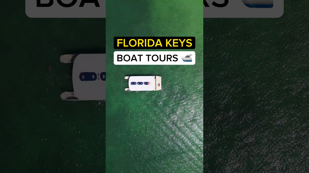 Florida Vacation 😍 Tour w/ Sundance Watersports #islamorada #travel #visitflorida #floridavacation