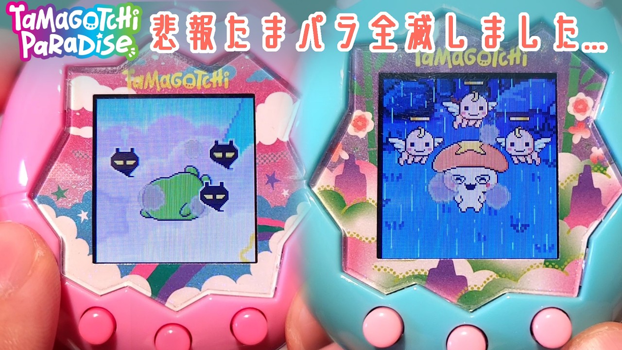 【たまごっち パラダイス】たまごっち全滅しました...【Tamagotchi Paradise】