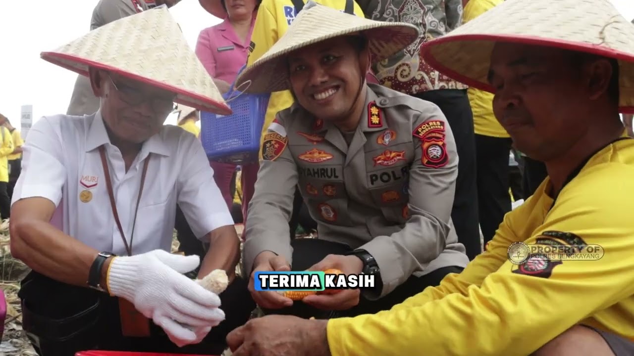 POLRES BENGKAYANG POLDA KALBAR TOREH 2 REKOR MURI TERKAIT KETAHANAN PANGAN