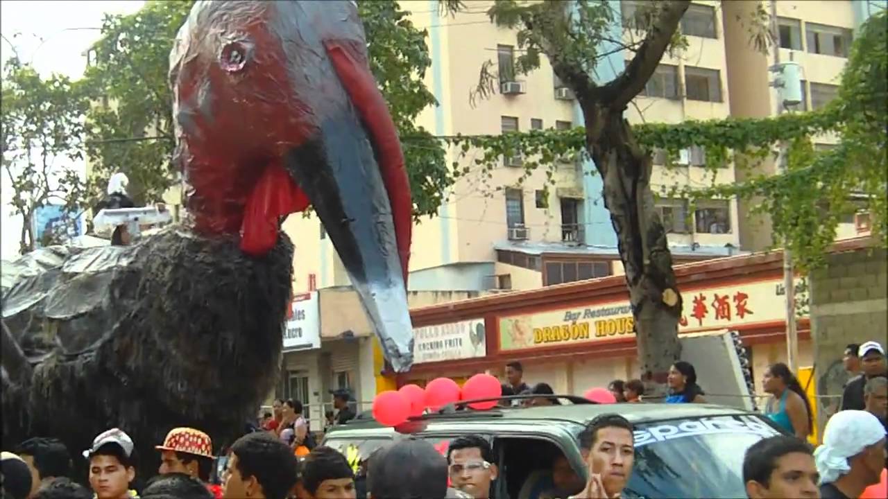 Carnavales de Maturín #4